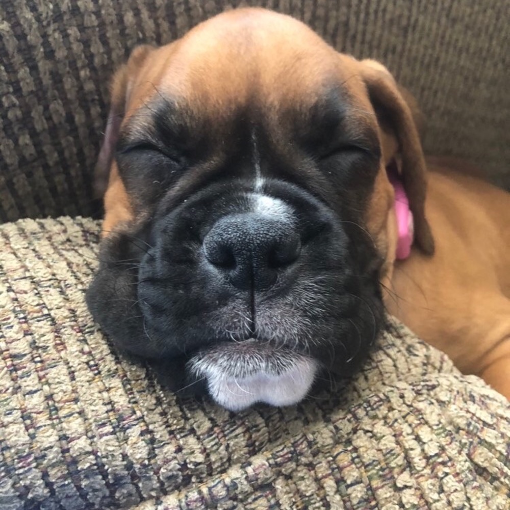 Meet your Posher, Lyssa